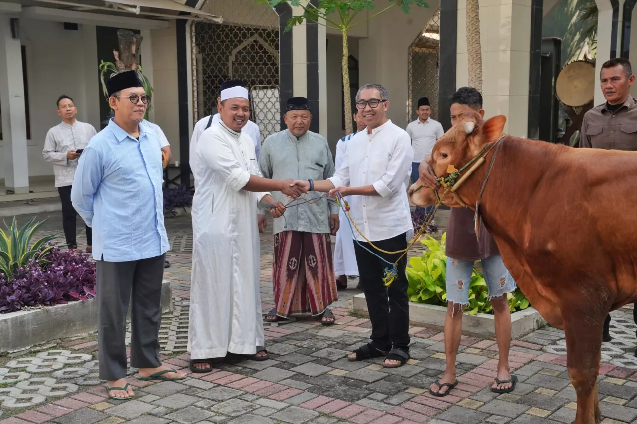 PGN Bagikan 955 Hewan Kurban, Perkuat Ikatan Sosial di Momen Iduladha