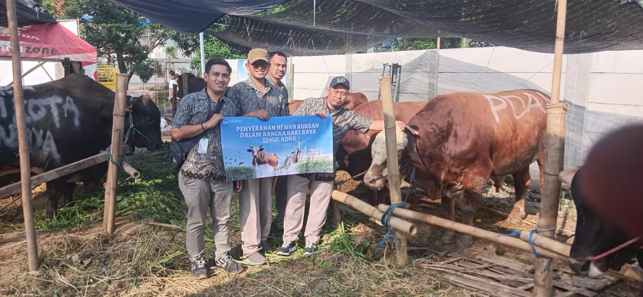 Idul Adha, PDAM Surya Sembada Salurkan Daging 14 Sapi