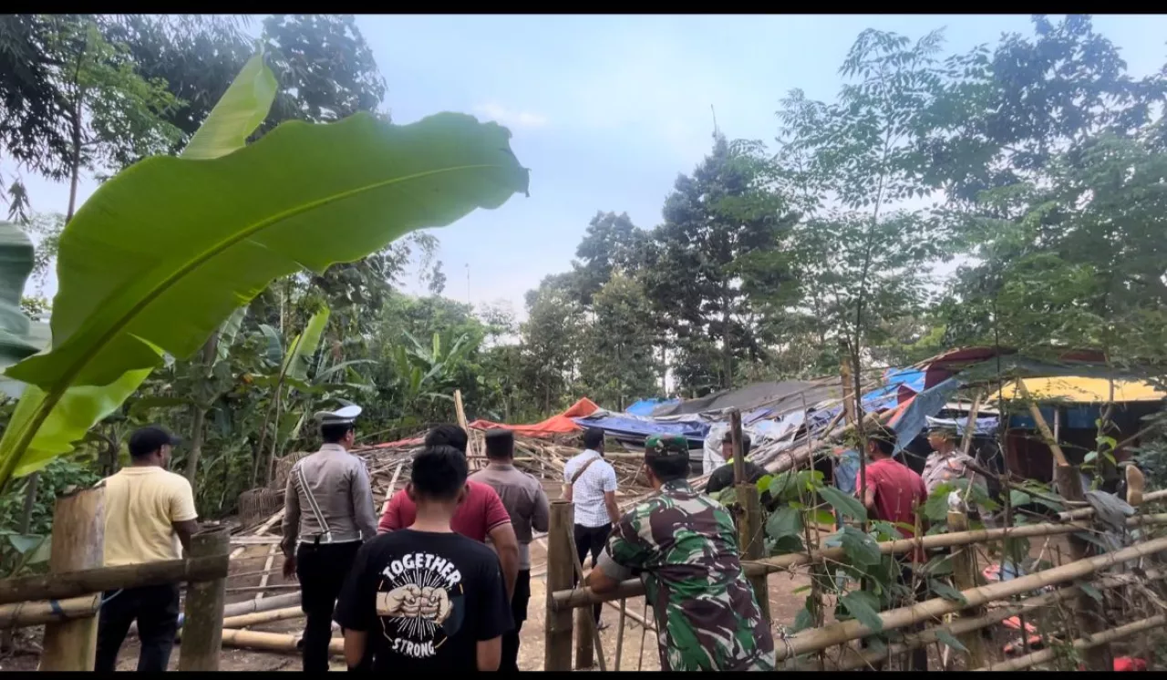 Polres Pasuruan Bongkar Arena Sabung Ayam di Purwodadi