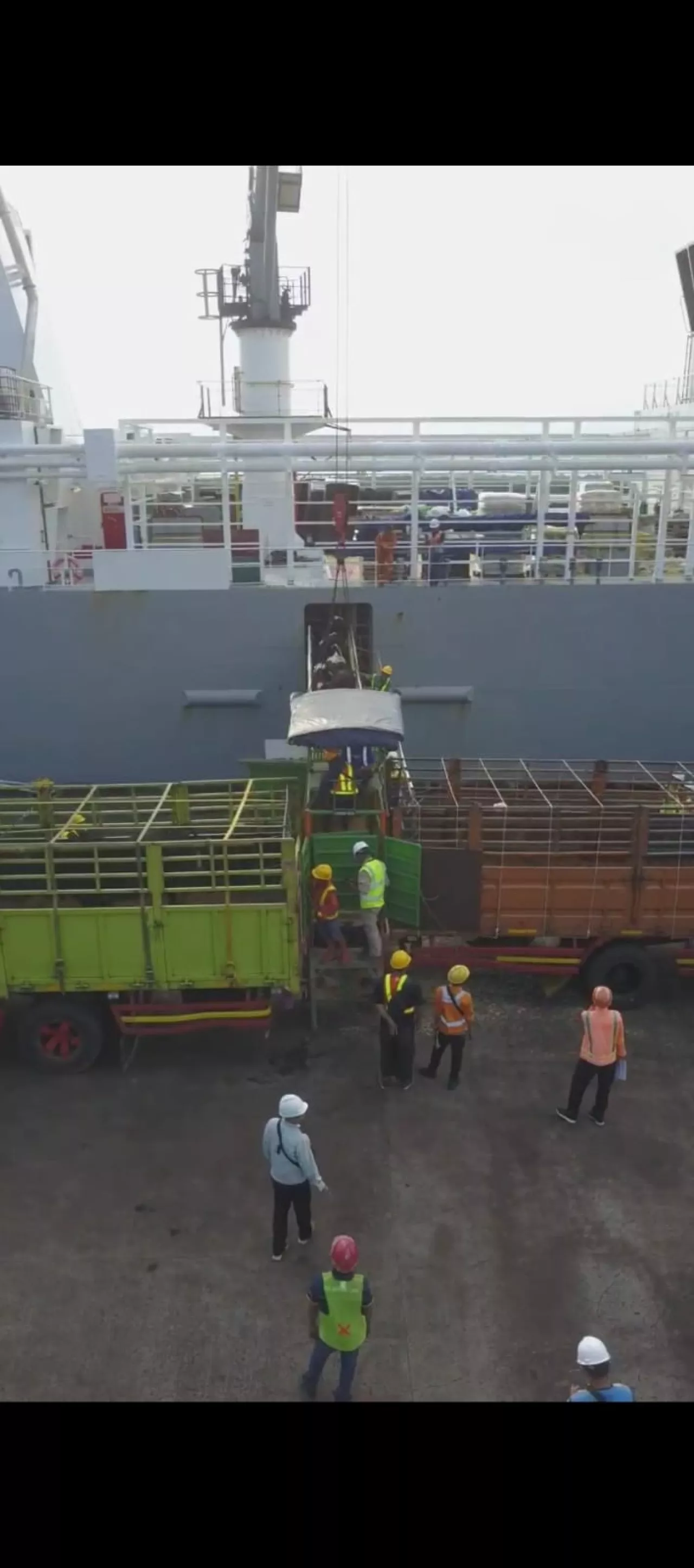 Pelindo dan Kementan Bangun Karantina Hewan di Pelabuhan Cilacap