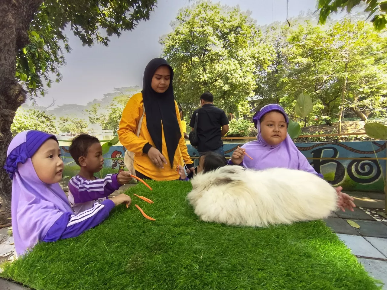 Rabbits in Wonderland, Wahana Baru tentang Kelinci di KBS
