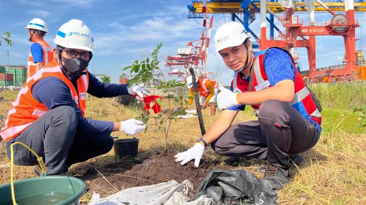 Peringatan HUT RI: Pelindo Petikemas Tanam 1.500 Pohon untuk Hijaukan Terminal