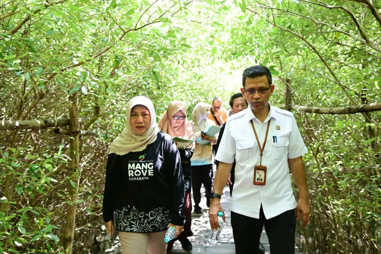 Kebun Raya Mangrove Surabaya Jadi Pusat Perpustakaan Bakau Dunia