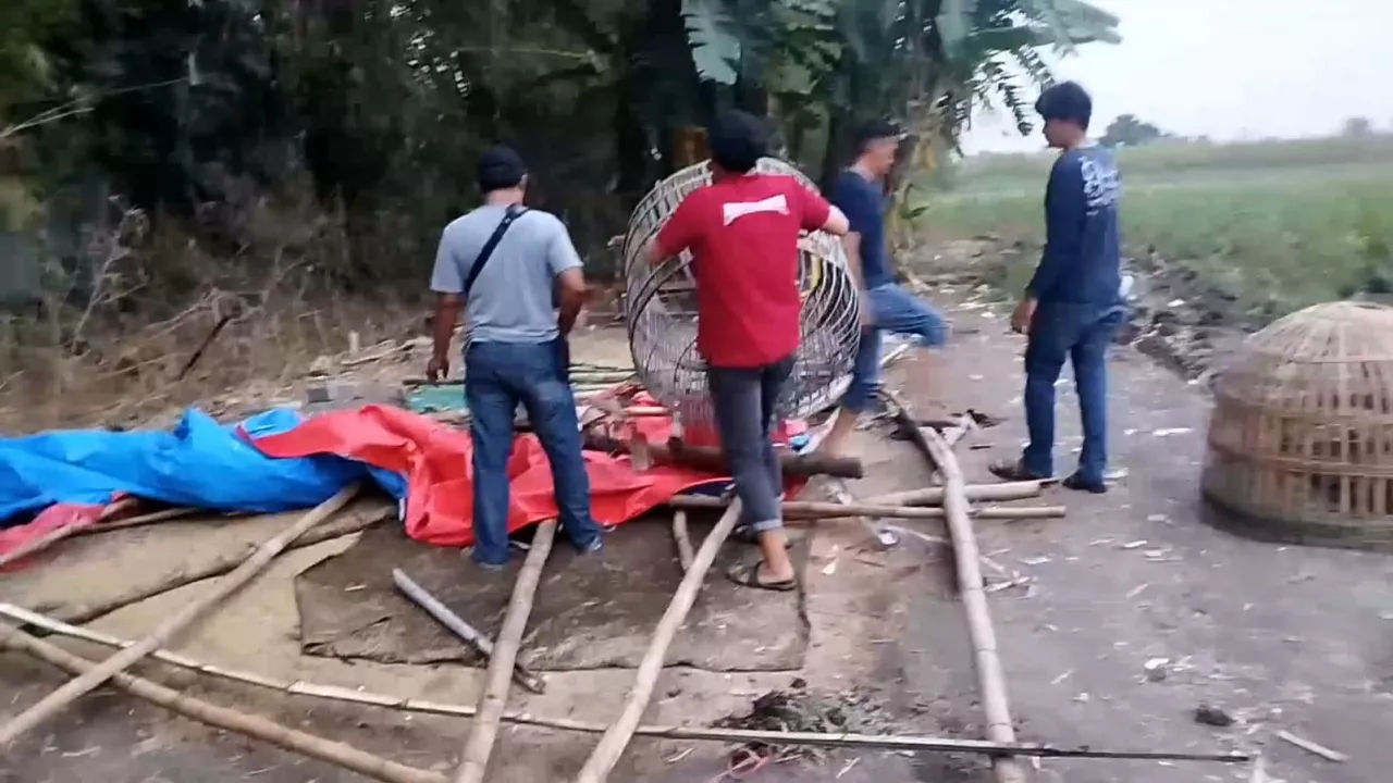 Arena Sabung Ayam di Mojokerto Digerebek, Puluhan Motor dan Ayam Disita