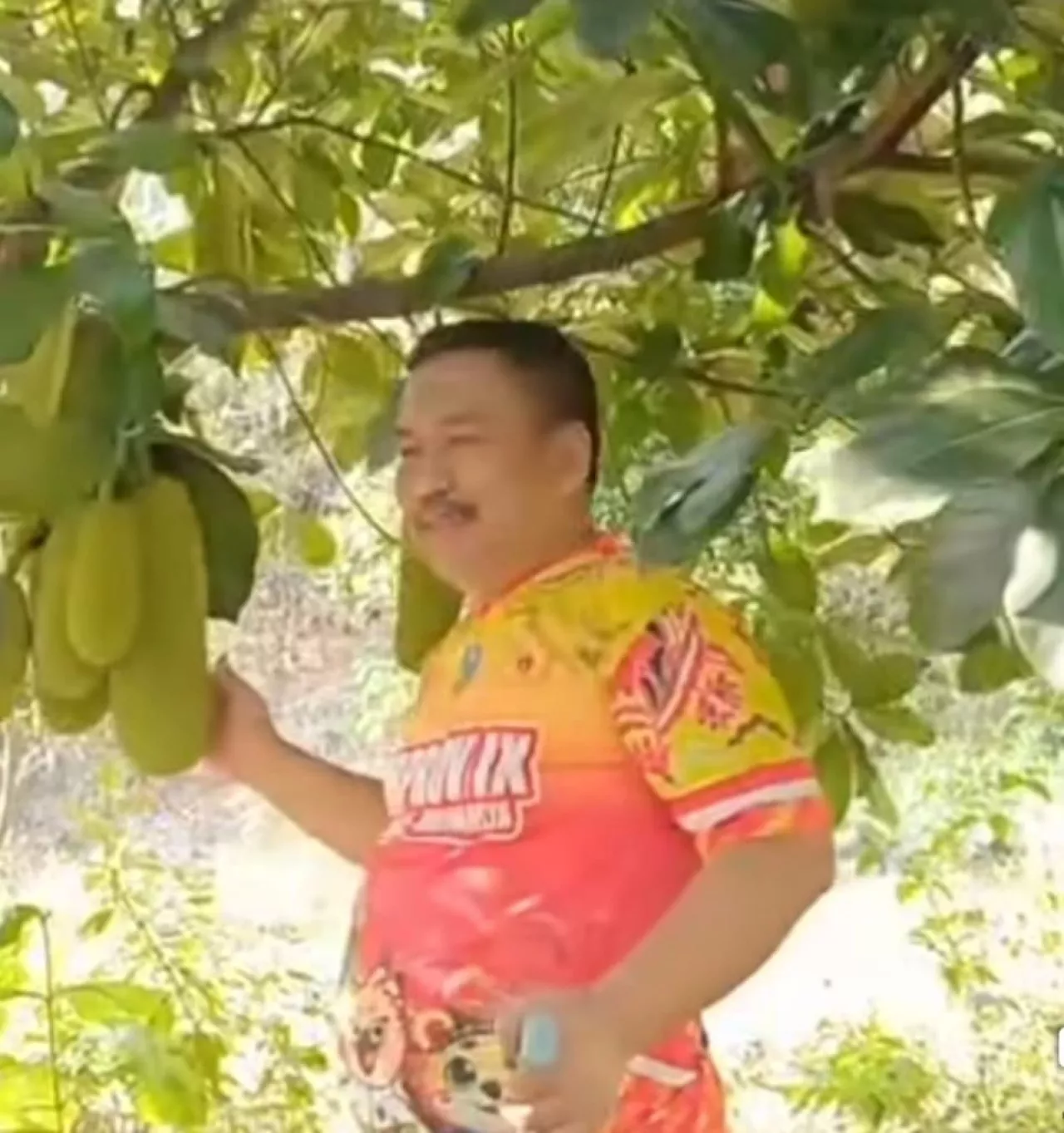 Dari Senayan ke Kebun, Ali Mufthi Temukan Kedamaian di Tengah Hiruk Pikuk Politik