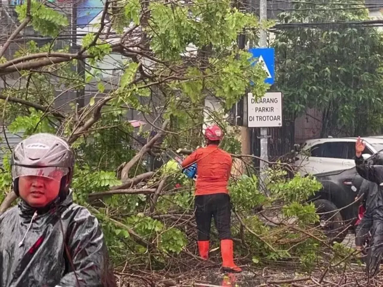Hujan Deras Guyur Surabaya, Tujuh Pohon Tumbang di Sejumlah Titik