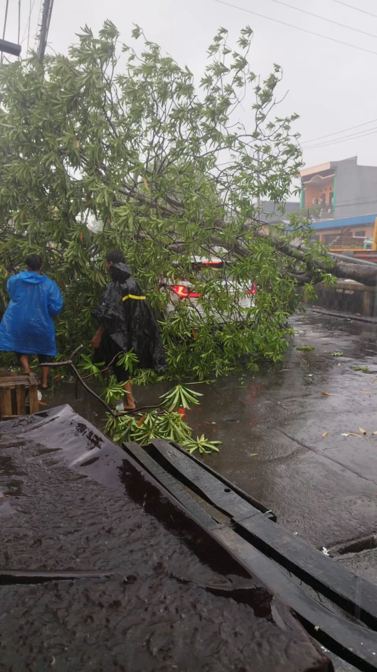 Pohon dan PJU Roboh Timpa Mobil Akibat Hujan Disertai Angin di Surabaya