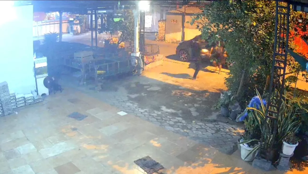 Komplotan Maling Gasak 2400 Telur Bebek di Mojokerto