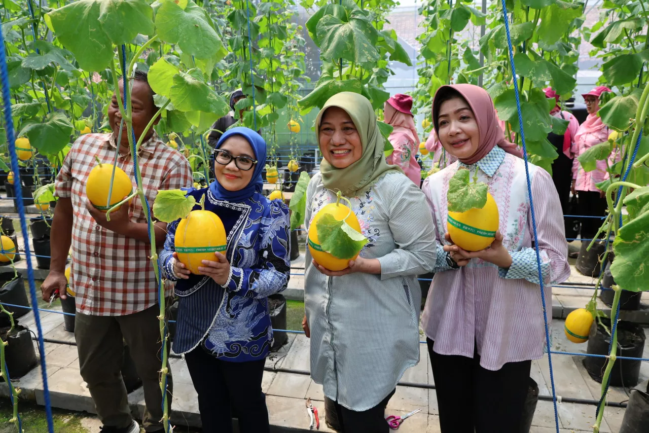 Urban Farming Jadi Strategi Surabaya Hadapi Nataru dan Cuaca Ekstrem