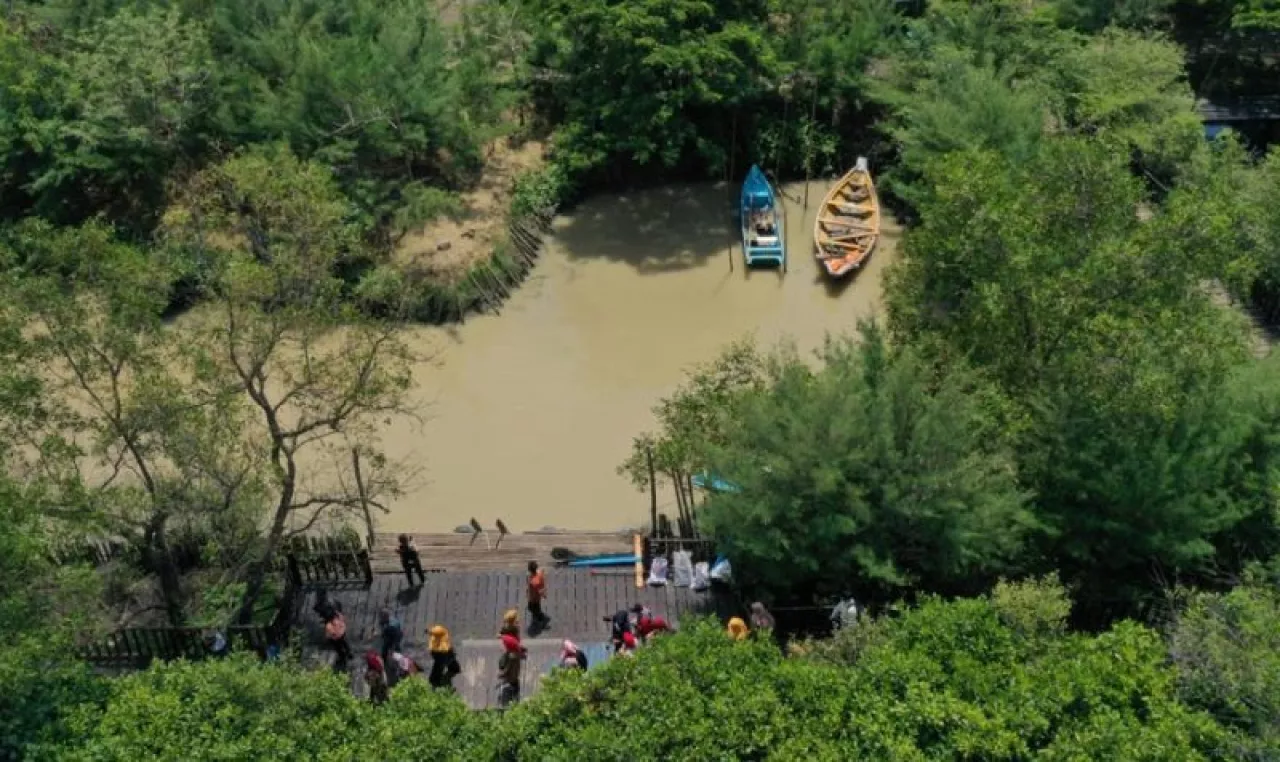 Kunjungan Rendah, DPRD Sebut Wisata Mangrove Surabaya Cermin Pengelolaan Setengah Hati
