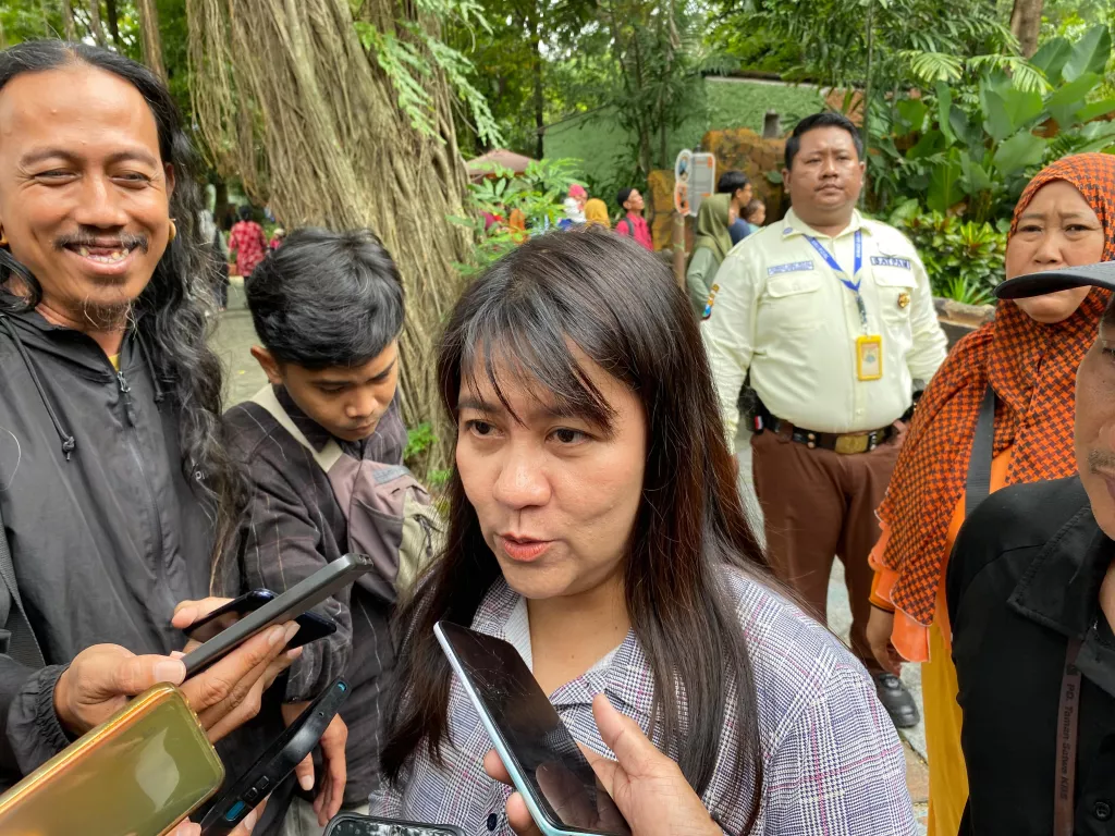 Di Tengah Proses Hukum, KBS Nyatakan Perawatan Satwa Masih Prioritas Utama