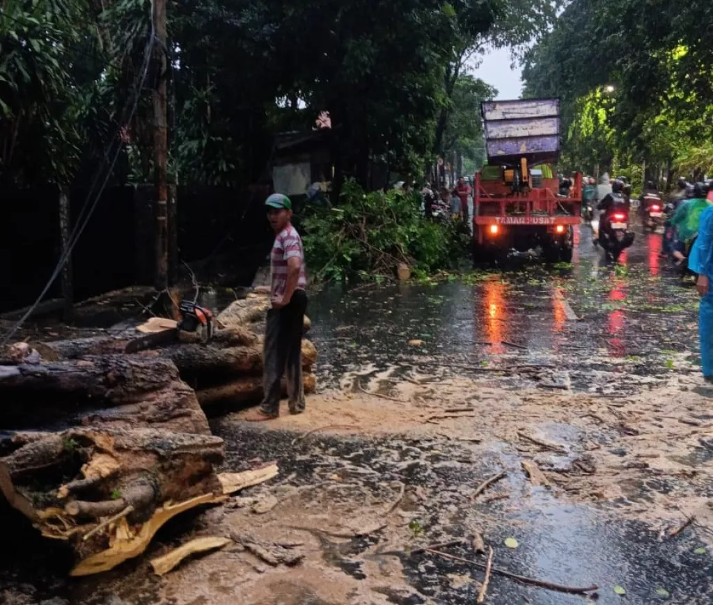 Hujan Disertai Angin di Surabaya Juga Tumbangkan 30 Pohon