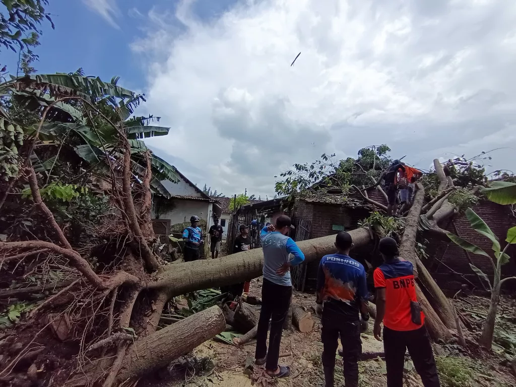 Pohon tumbang timpa tiang listrik di kawasan Ngagel Surabaya. (Dok. Istimewa).