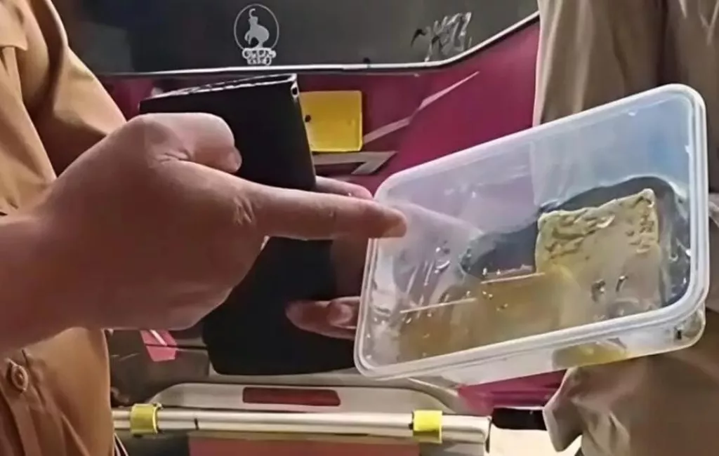 Viral, Lele Mentah Ditemukan pada Menu MBG di Pademawu Pamekasan 