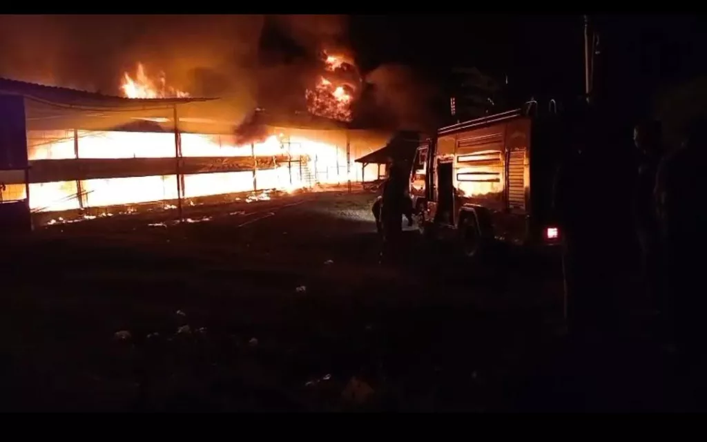 Kandang Ayam di Sukorejo Probolinggo Ludes Terbakar, Kerugian Capai Rp1 Miliar