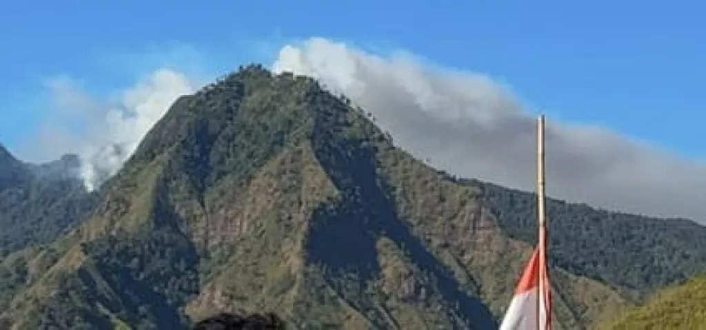 Hutan di Gunung Biru Mojokerto Terbakar, BPBD hingga Polisi Diterjunkan