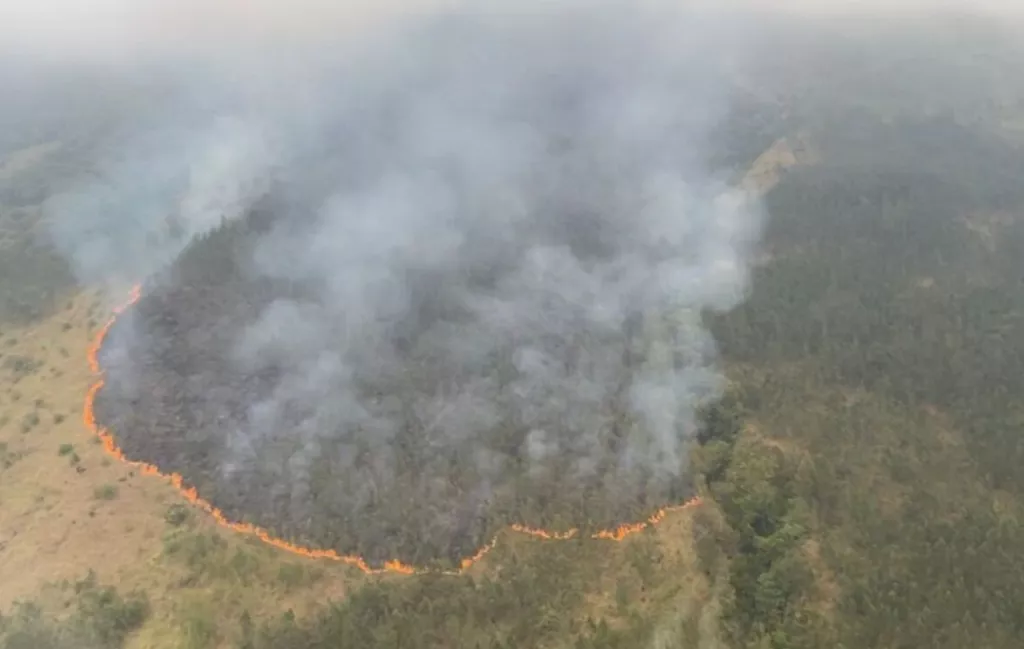 Kebakaran Hutan di Gunung Arjuno-Welirang, Jalur Pendakian Ditutup
