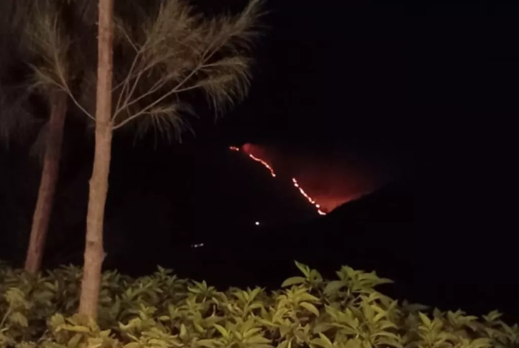Kebakaran Bromo Makin Meluas, Kini Mengarah ke Puncak B29 Lumajang