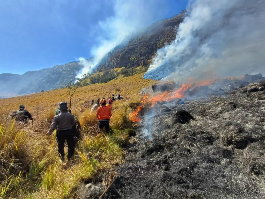 Kebakaran di Bromo Kini Meluas ke Perbatasan Probolinggo