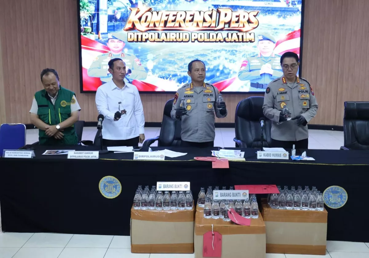 Ditpolairud Polda Jatim Bongkar 4 Kasus Pidana, Ada Bagian Tubuh Hiu hingga Arak Bali