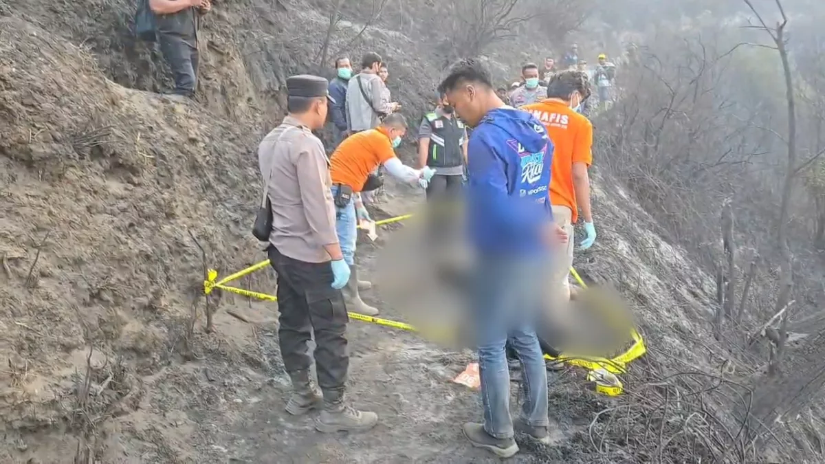 Tragedi Karhutla Bromo: 3 Anggota Pemadam Meninggal, Tiga Luka Bakar