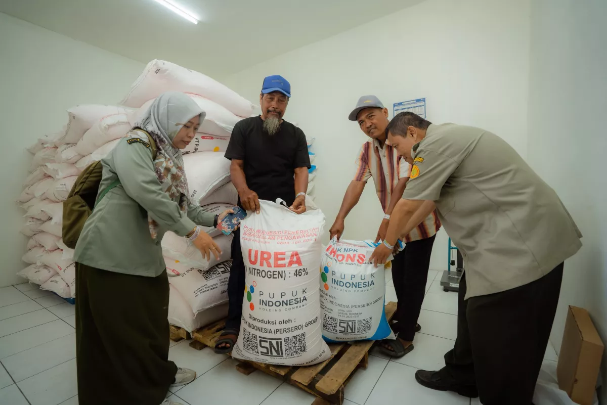 Senangnya Petani Tambakrejo Sambut KDKMP Sidoarjo, Tebus Pupuk Kini Makin Mudah