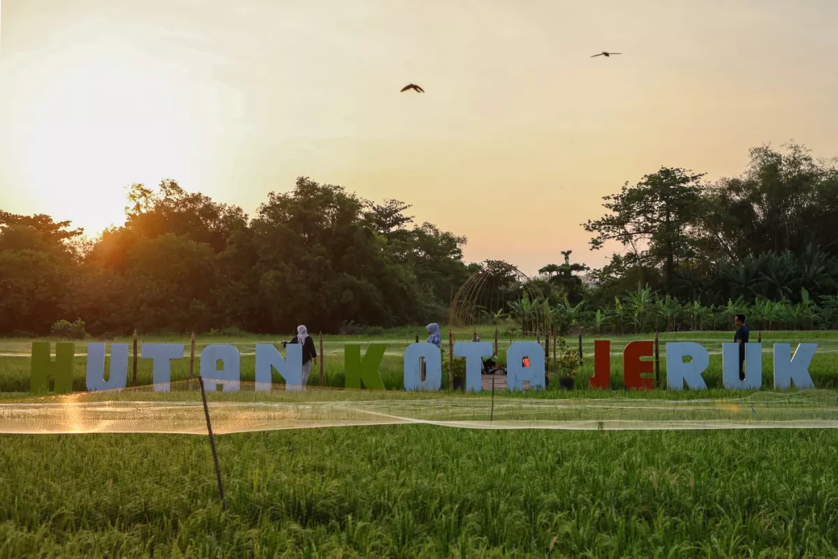Wisata Hutan Kota Jeruk Surabaya: Murah, Indah, dan Cocok untuk Keluarga