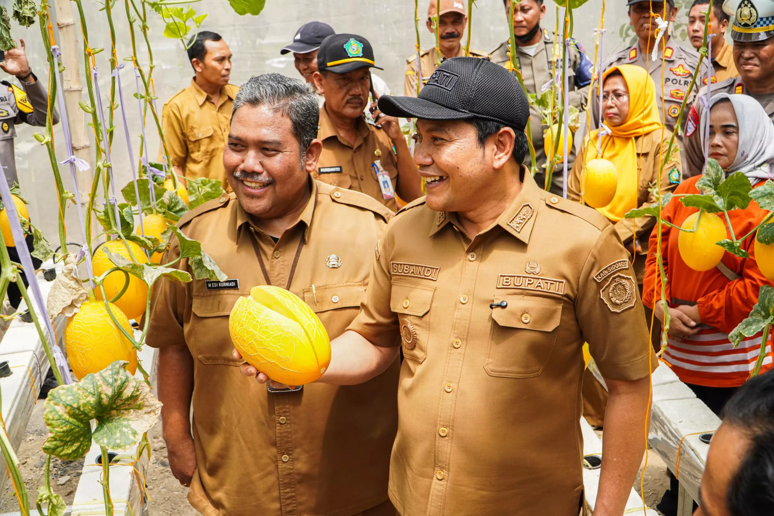 Desa Sidorejo Sidoarjo Sulap Greenhouse jadi Wisata Petik Melon Premium