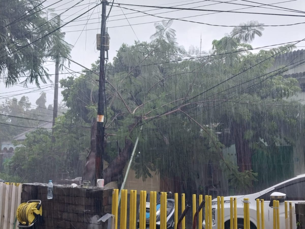 Pohon tumbang timpa tiang listrik di kawasan Ngagel Surabaya. (Dok. Istimewa).