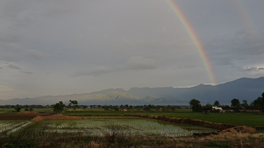 Fenomena keindahan pelangi di Desa Bulu Probolinggo. (Foto: Inung/selalu.id).