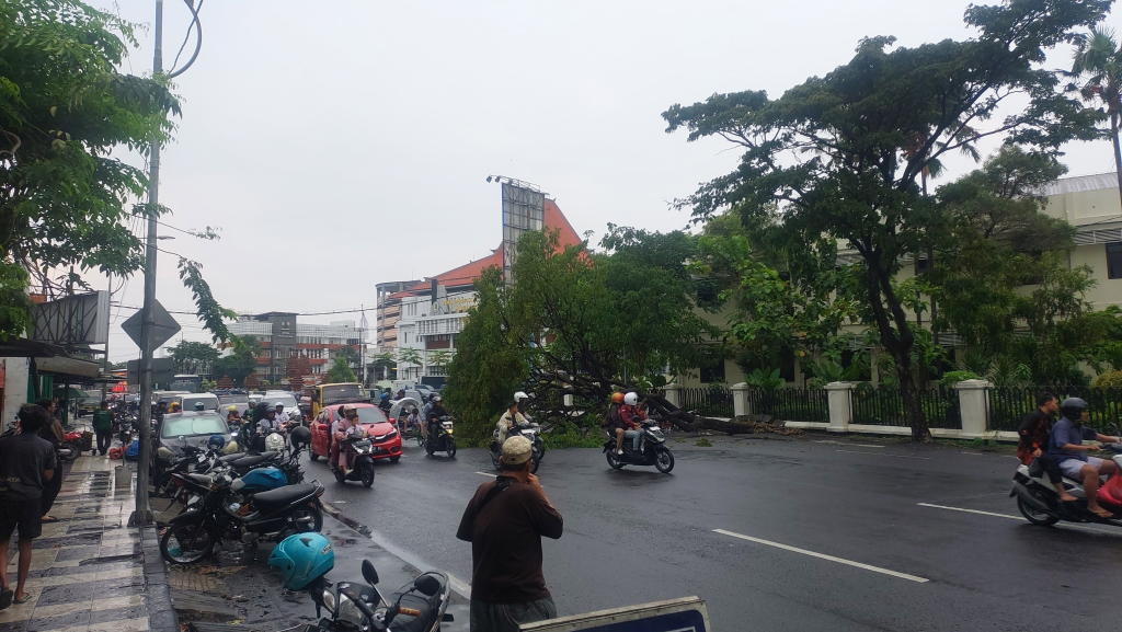 Pohon tumbang depan kantor DPRD Jatim