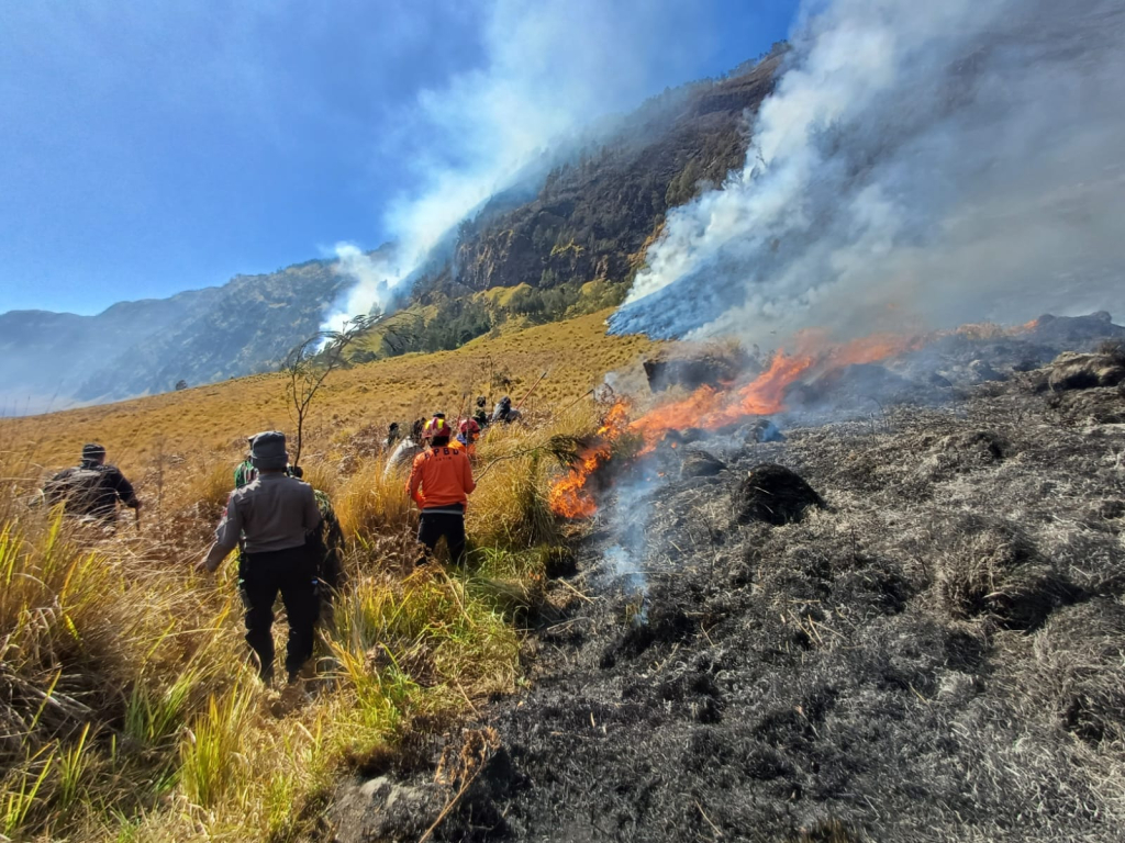 Kebakaran di Bromo Kini Meluas ke Perbatasan Probolinggo