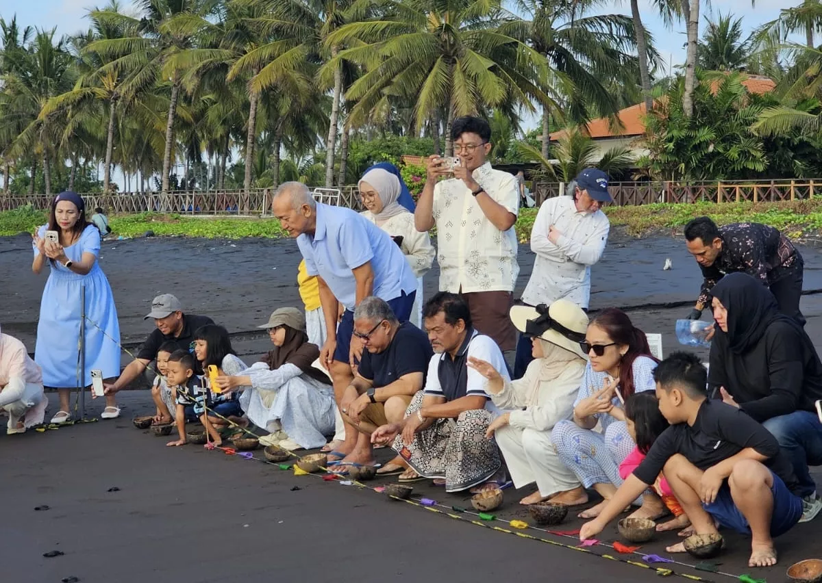 Lepas Puluhan Tukik ke Laut, PMI Surabaya Ikut Dukung Pelestarian Penyu di Banyuwangi