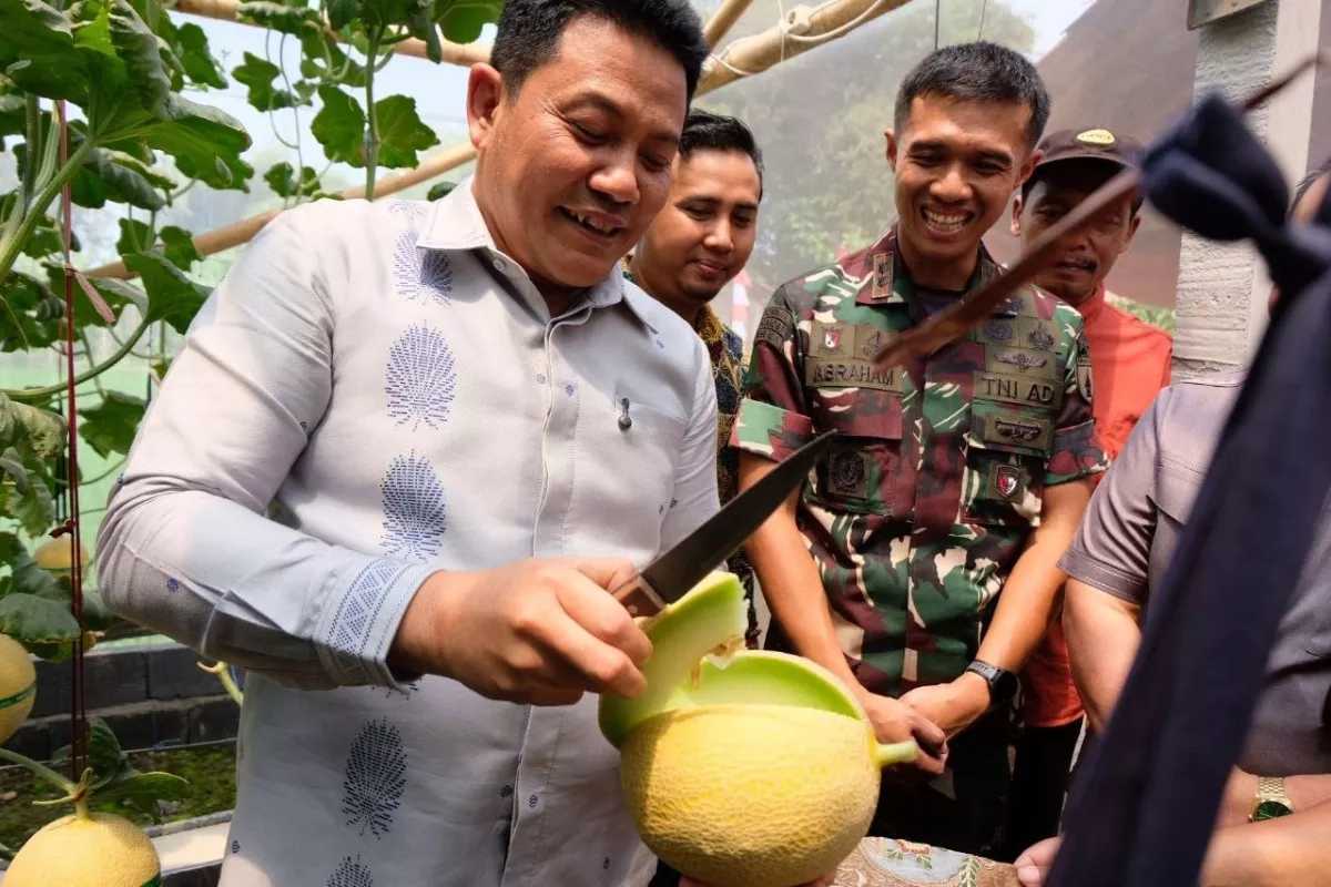 Melon Hidroponik jadi Magnet Baru Wisata Edukasi di Candi Negoro, Sidoarjo