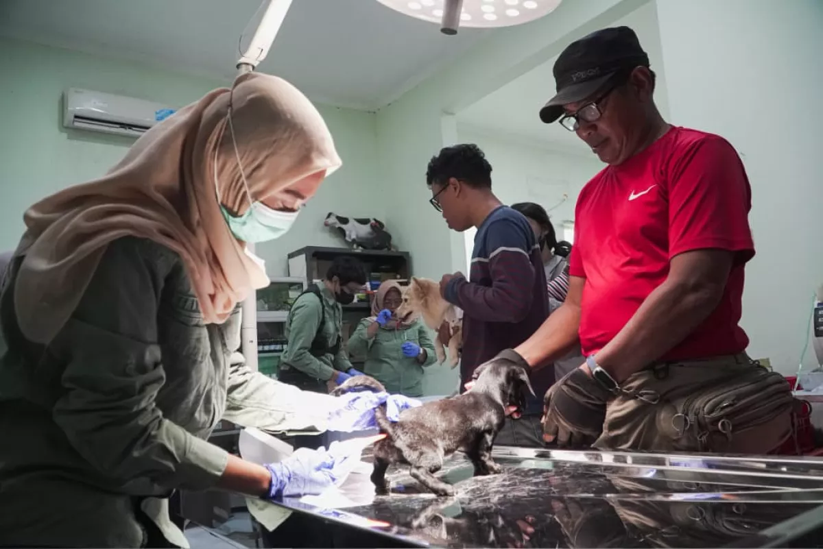 Antisipasi Penyakit Zoonosis, DPPP Sidoarjo Gelar Vaksinasi Rabies Gratis