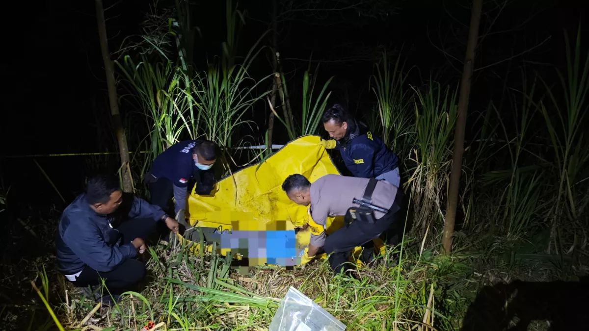 Seorang Kakek Ditemukan Tewas dengan Tangan Terputus di Ladang Tebu Probolinggo