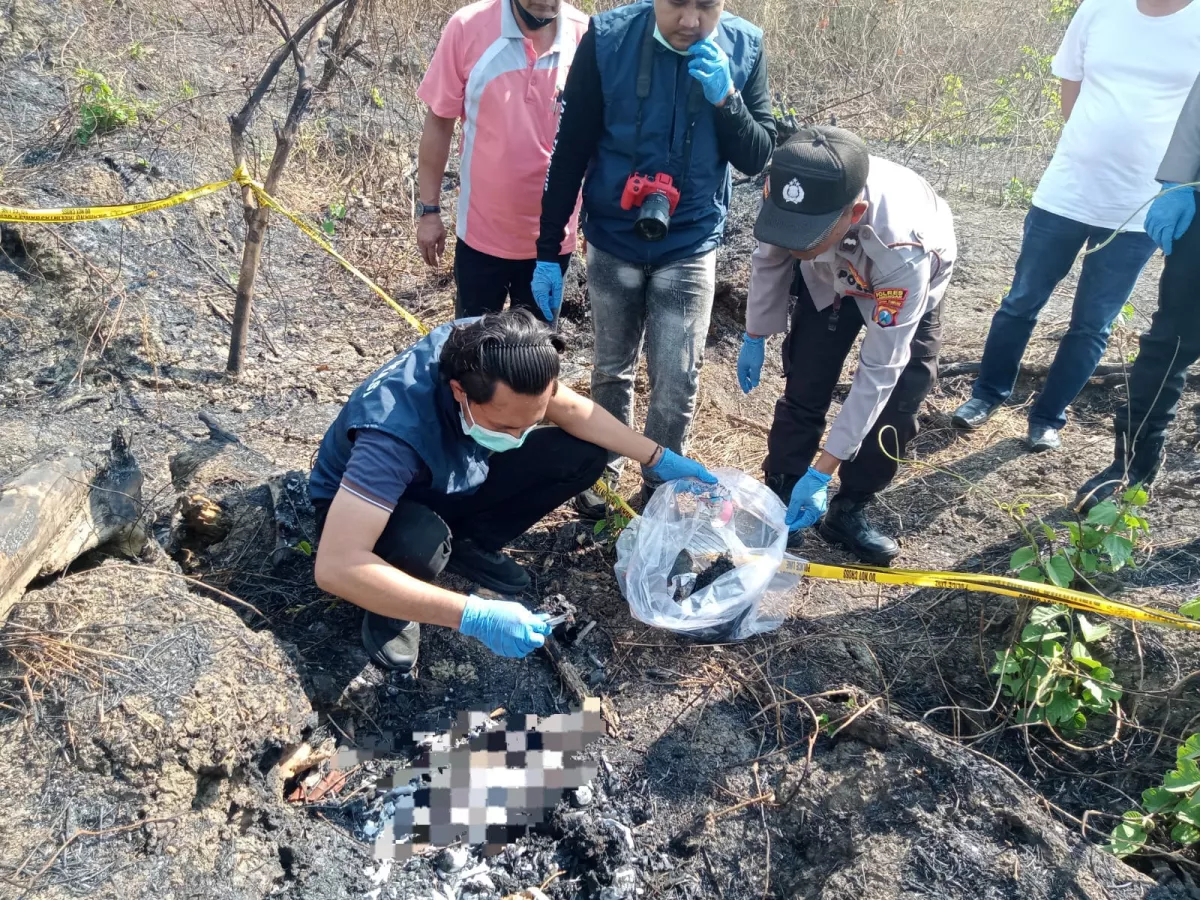 Kerangka Manusia Misterius Ditemukan di Hutan Tenggerejo Lamongan