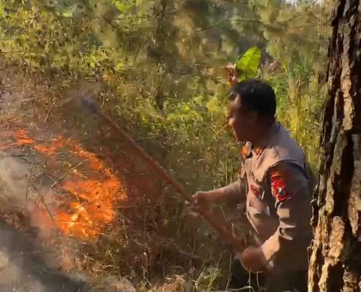Kebakaran di Lereng Gunung Lawu Magetan, Personel Gabungan Dikerahkan Padamkan Api
