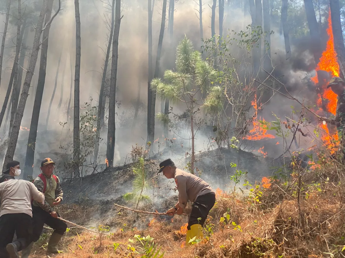 Tim Gabungan Berjuang Padamkan Karhutla di Lereng Terjal Gunung Limas Ponorogo