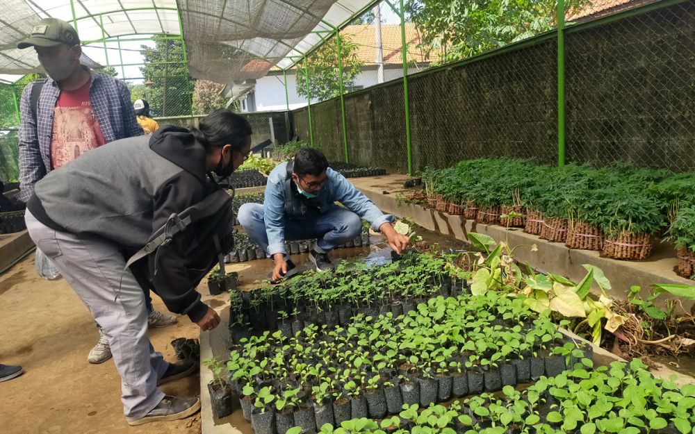 Bibit tanaman di kantor DKPP Surabaya